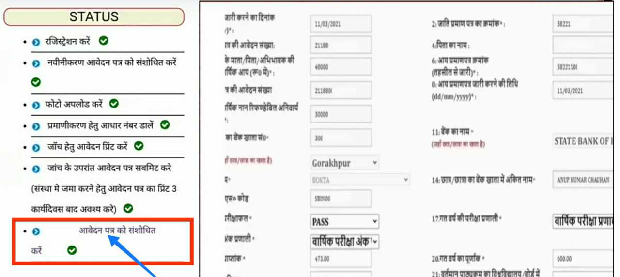 आवेदन पत्र को संशोधित करें